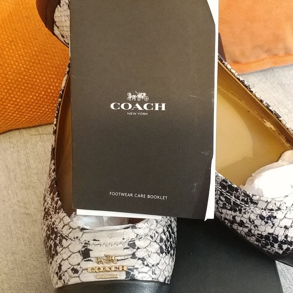 Shoes - Picture 2 of 3